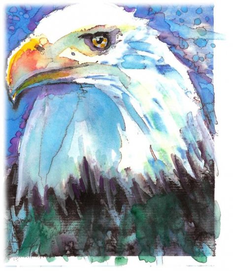 "Bald Eagle" Watercolor Painting Print