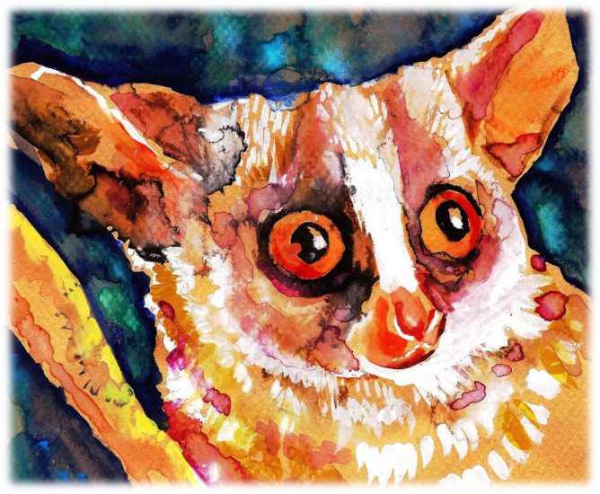 "Bushbaby" Watercolor Painting Print
