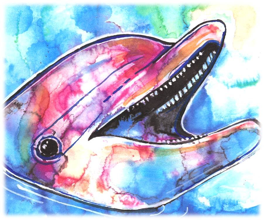 "Dolphin" Watercolor Painting Print