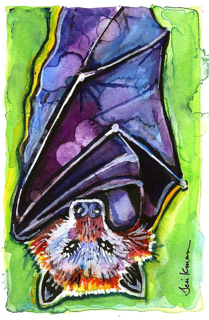"Fruit Bat" Watercolor Painting Print