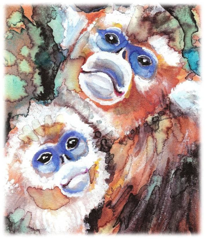 "Snub-nosed Monkeys" Watercolor Painting Print