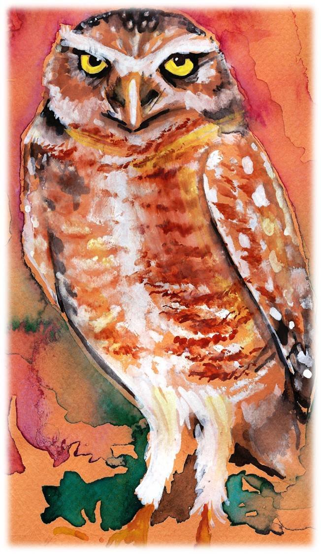 "Burrowing Owl" Watercolor Painting Print