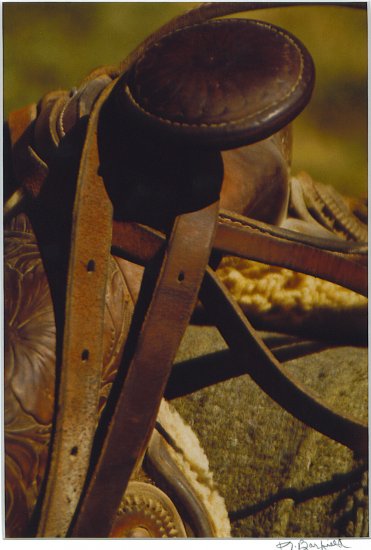 Saddle Rodeo Photograph 8x10- Matted 11x14