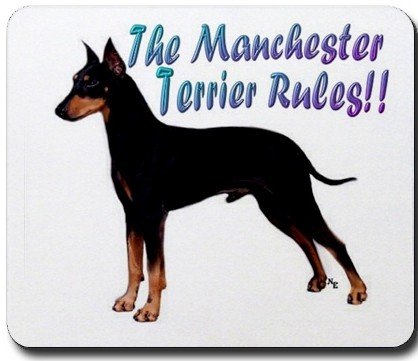 Manchester Terrier Tile Coaster
