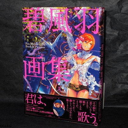 FOO MIDORI Book of Pictures Japan Anime Art Book NEW