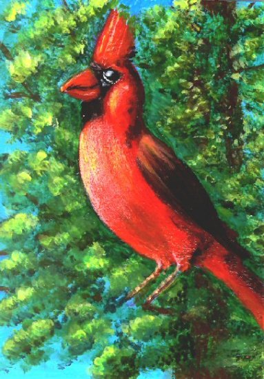 Cardinal / ACEO Original Acrylic Painting by R.J.