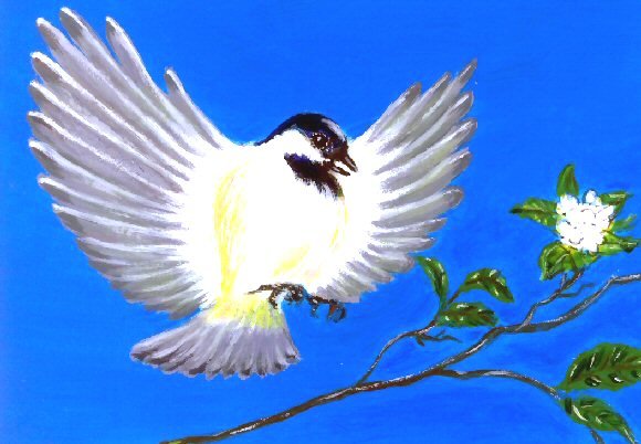 Chicadee / ACEO Original Acrylic Painting by R.J.