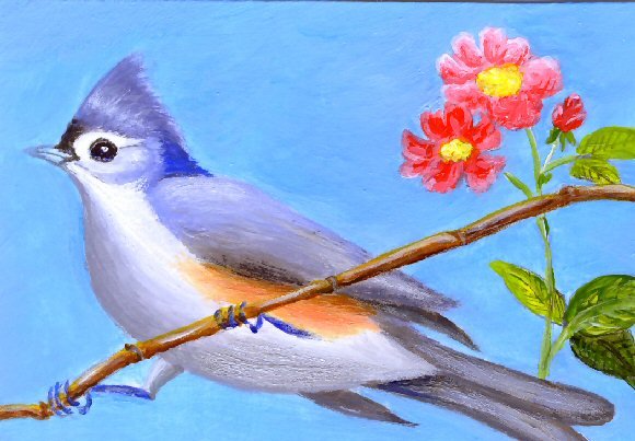 Tufted Titmouse / ACEIO Original Acrylic Paintin by R.J.