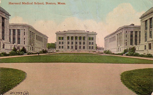 Harvard Medical School in Boston Massachusetts MA, 1912 Vintage Postcard - 3489