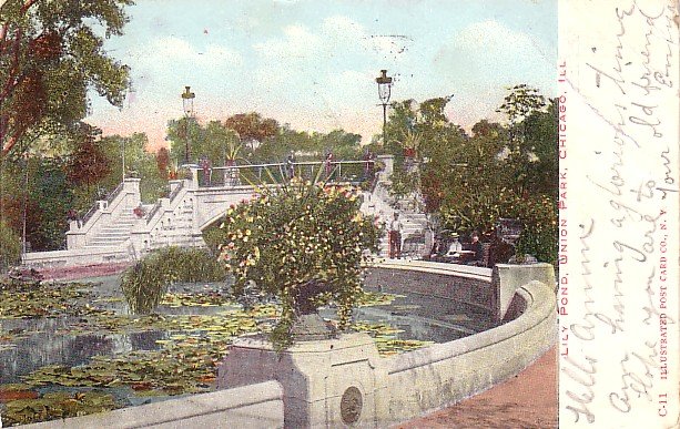 Lily Pond in Union Park at Chicago Illinois IL, 1907 Vintage Postcard - 3556