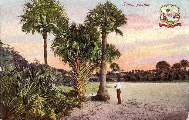 Scene in Sunny Florida FL, Artistic Series Vintage Postcard - 3590