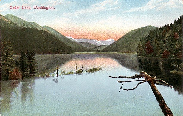 Cedar Lake in the State of Washington WA Vintage Postcard - 3635