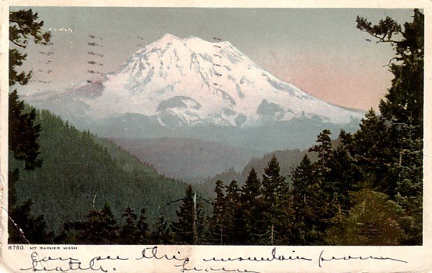Mount Rainier Washington WA 1907 Vintage Postcard - 3840