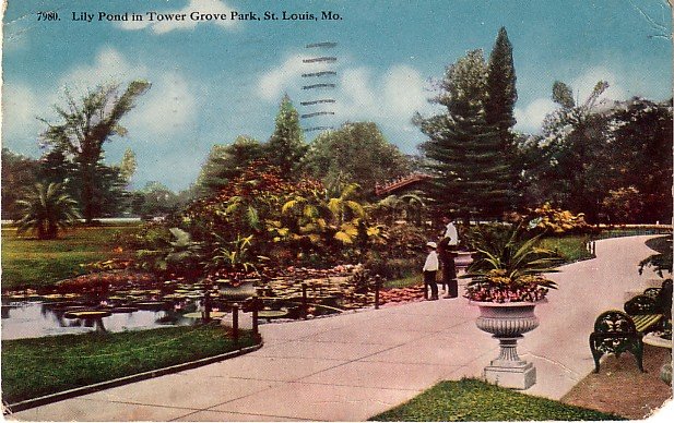 Lily Pond in Tower Grove Park, St. Louis Missouri MO 1915 Vintage Postcard - 3862