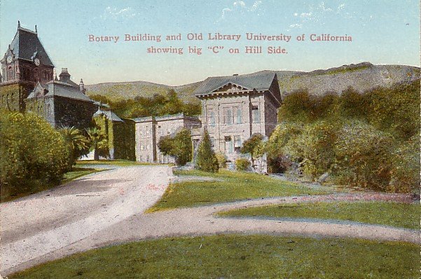 Big C Hillside Letter on Charter Hill, University of California in Berkeley CA Postcard - 3902