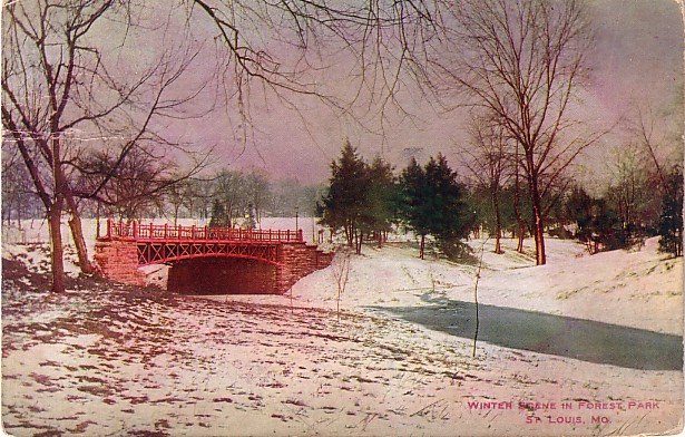 Winter Scene in Forest Park St. Louis Missouri MO 1910 Vintage Postcard - 3917