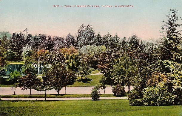 Wright's Park in Tacoma Washington WA, Edward H Mitchell 1909 Vintage Postcard - M0021