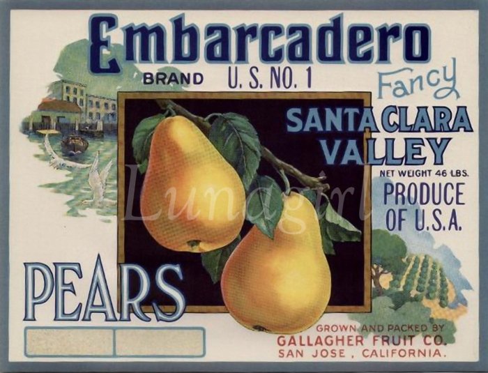 CAN CRATE LABELS on CD - vintage ephemera images