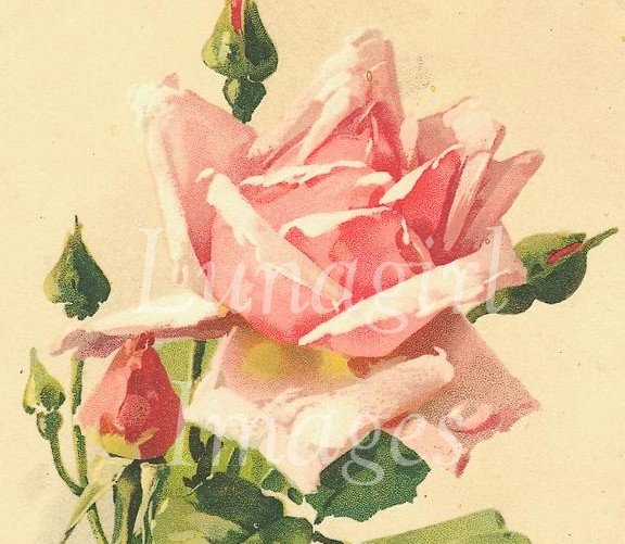 Victorian Flowers 900 vintage images on CD roses floral