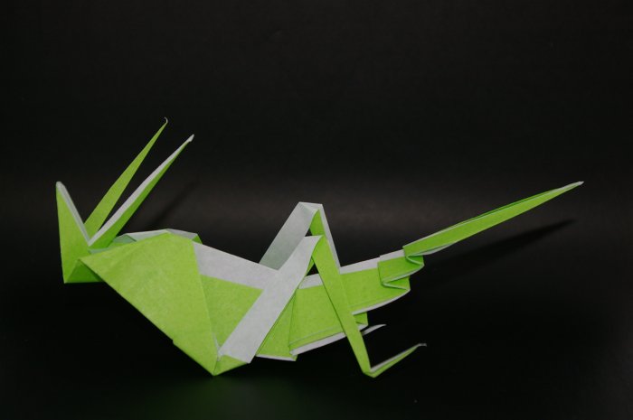 Origami Grasshopper