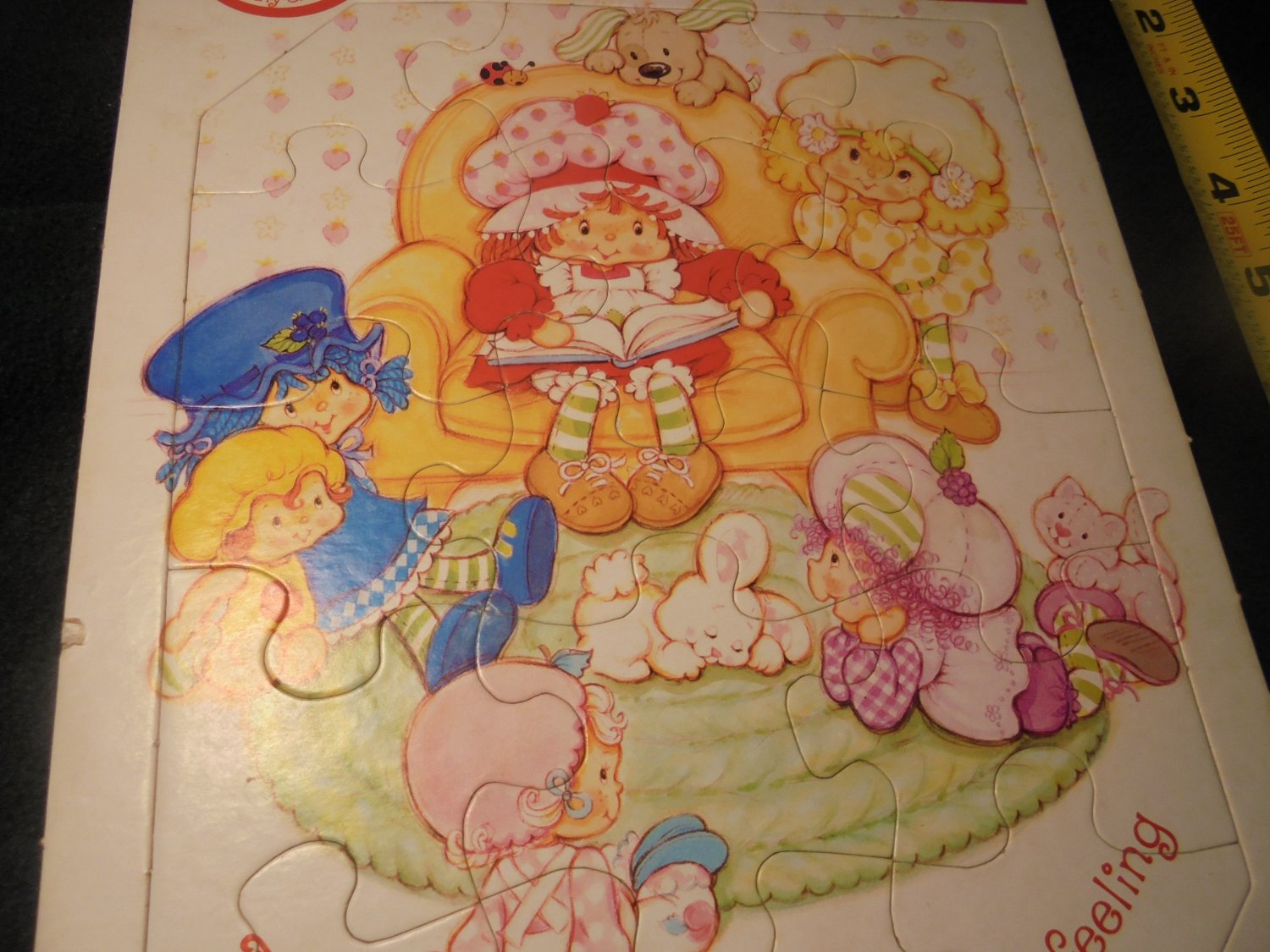 Wow Strawberry Shortcake Frame Tray Puzzle Obo