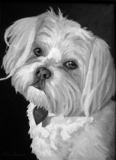 Custom Order Pet Portraits in Black and White