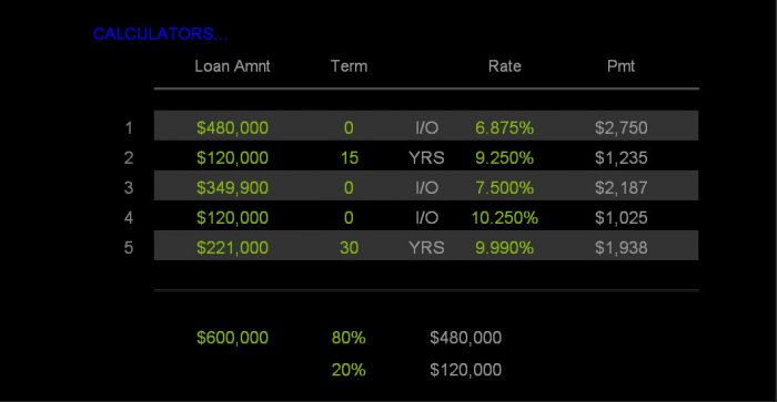 Deluxe Multiple Home Loan Calculator