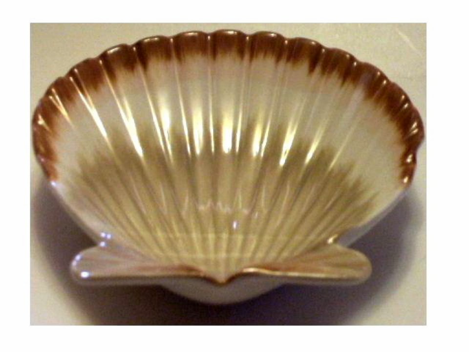 Seashell Soap Dish Nautical Beach Decor