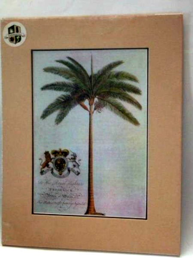Tropical Palm Tree Print Wall Art Picture