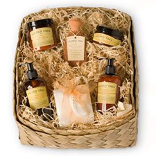 Gilden Tree Foot and Body Essentials Gift Basket