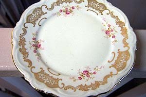 OLD MITTERTEICH GERMAN CHINA ROSELLA BREAD BUTTER PLATE