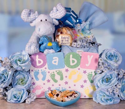 Baby Moose Gift
