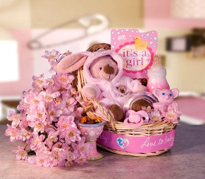 Welcome Baby Girl!