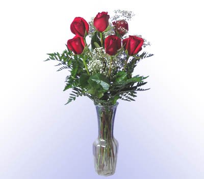 6 Red Rose Bouquet w/Vase