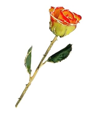 Rose - 24Kt Gold - Yellow and Red
