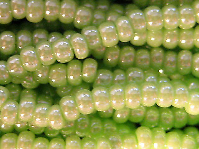 11/0 CZECH GLASS SEED BEADS LUSTER LIME GREEN 1 HANK
