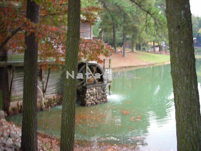 Water Wheel 8x10