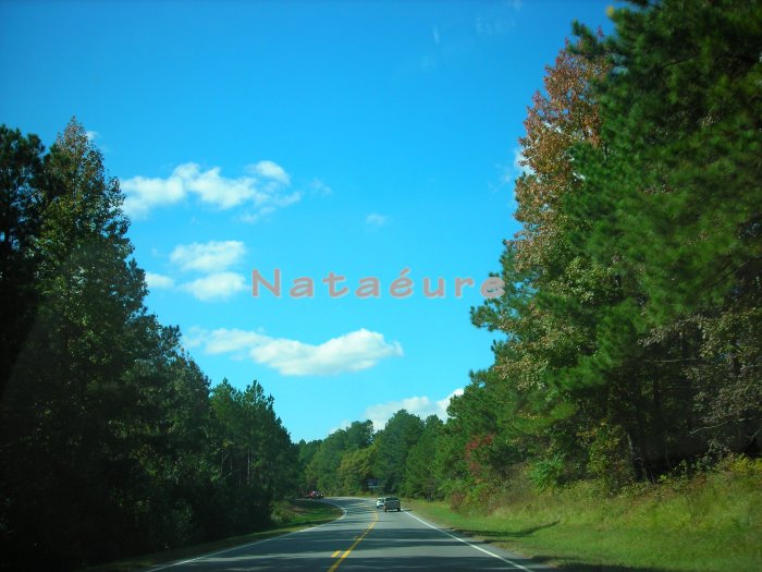 On the Road 8x10