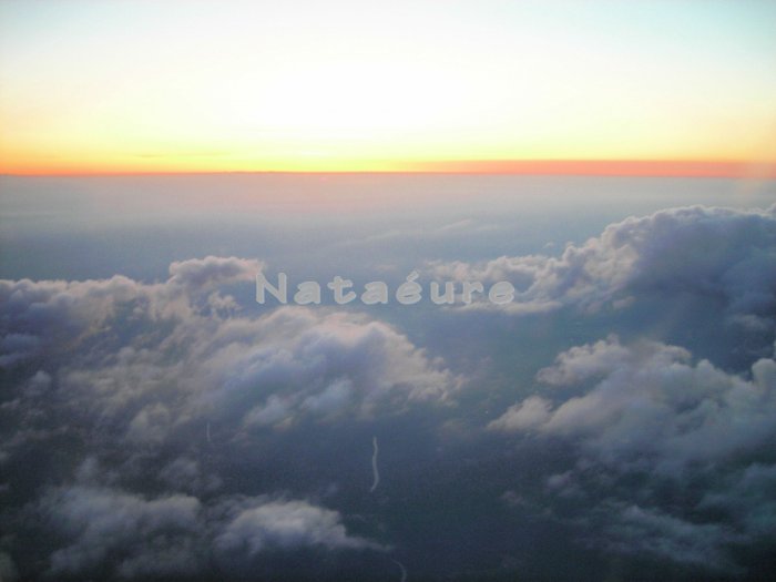 Aerial: Horizon 11x14