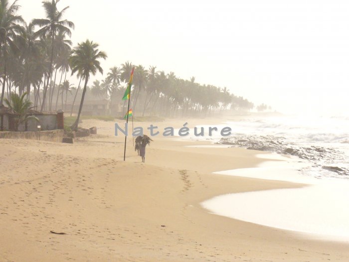 Elmina Beach Shoreline 11x14