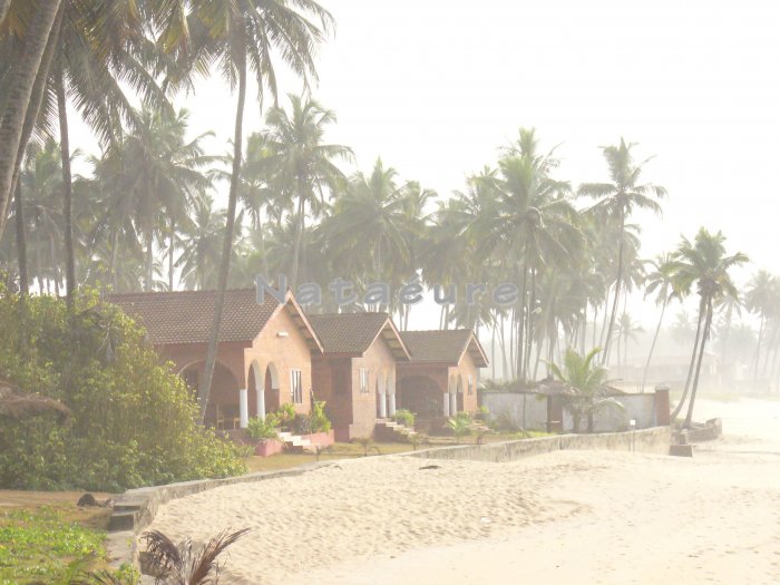 Elmina Beach Shoreline III 8x10