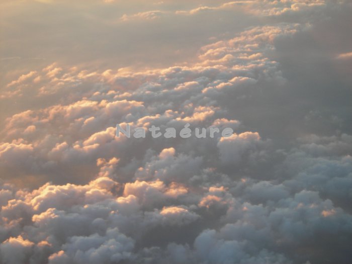 Aerial: Clouds 9 16x20