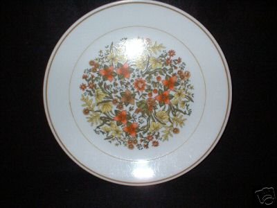 Corelle Corning Ware Indian Summer Dinner Plates x 4
