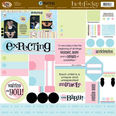 TLC HOT FUDGE Expecting 12 x12 Kit