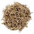 Organic White Tea