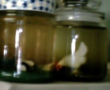 Homemade candles