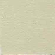 Ash White - Brickform Color Hardener