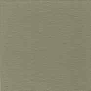 Weathered Sage - Brickform Color Hardener