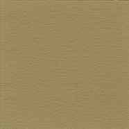 Sandy Buff - Brickform Color Hardener