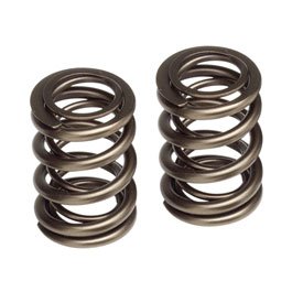 Skunk2 Pro Series Valve Springs B-Series